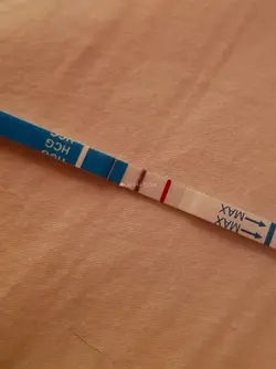 1966