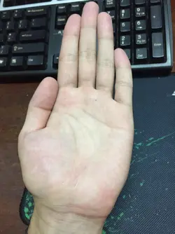 117950934_585562855474282_3249674595469364458_n.webp