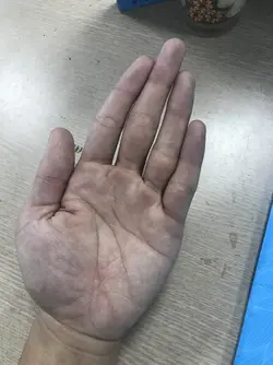 16405