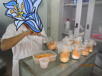 20200908_135838.webp