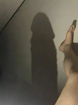 208282