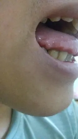 216619 216619