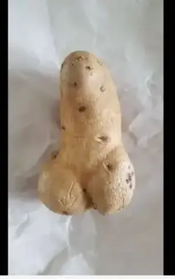 22093
