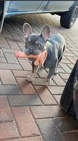 222046