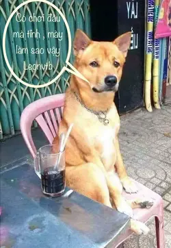 222105
