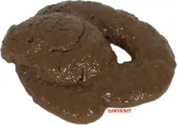 305250