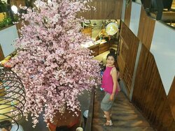 790099B4-11FE-463D-BCCD-07EB5030489F.jpeg