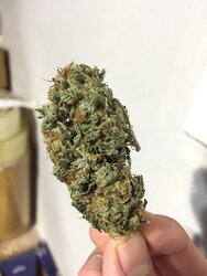 55DF8B3C-5E0F-4EBF-80E7-268E0653FA10.jpeg