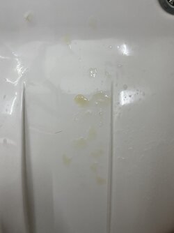 E92DD0E4-6704-4477-8CF4-521E717CA2D5.jpeg