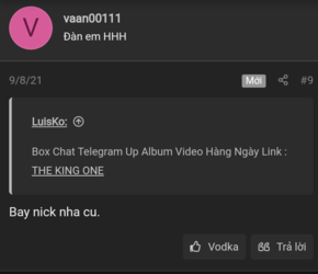 33vaan00111 report.png