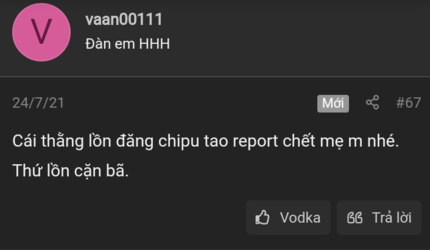 35vaan00111 report.png