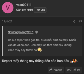 38vaan00111 report.png