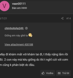 49vaan00111 chửi.png