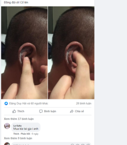 1629443240743.png