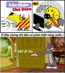 119.jpg