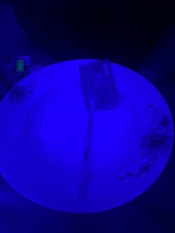 ED6233AF-4991-4484-A7D1-CE459C7B7E80.jpeg