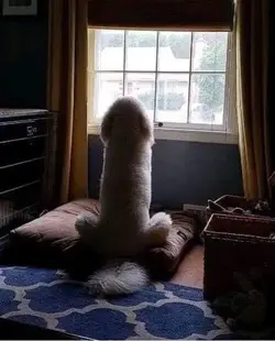 67498
