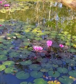IMG_20220118_081659~2.jpg