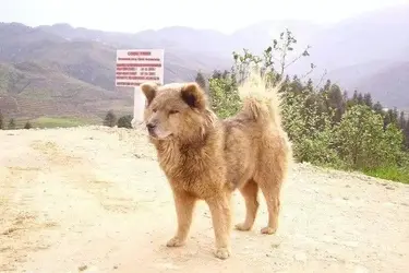 7538