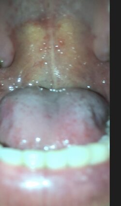 740BA35D-AAEF-454D-8F40-3125304602CD.jpeg
