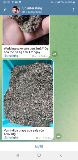 Screenshot_20220405-163352_Telegram.jpg