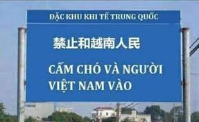 tải xuống (3).jpeg
