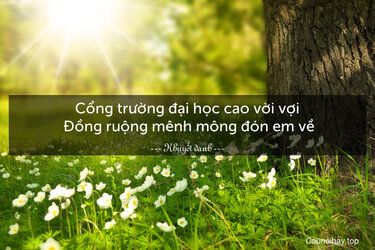 danh-ngon-hai-huoc-5d5532296f334.jpg