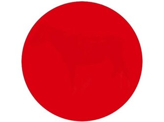 2DD616A7-1E79-434C-A0A3-97A29279CFC3.jpeg