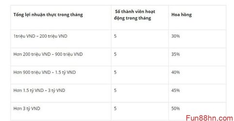 Muc-phan-chia-hoa-hong-tai-Fun88-rat-hop-ly.jpg