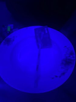 A765320B-277A-4B0B-B67F-733BD87E83B0.jpeg