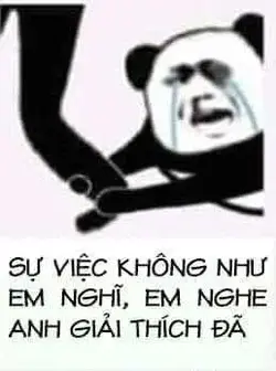 83161