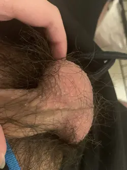 84855 84855