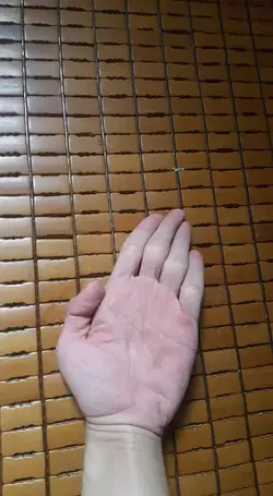 96047
