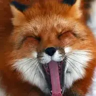 MarshalFox