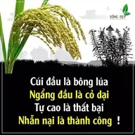 Để Tao Nói Cho Mà Nghe