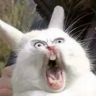Rhumxsh