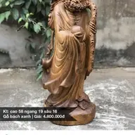Ngao11