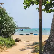 Danchoi1234132414