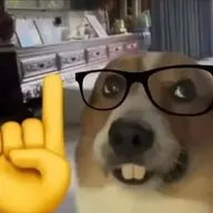d0ccocauthehuc