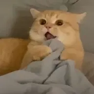 Ngaythovotoi_
