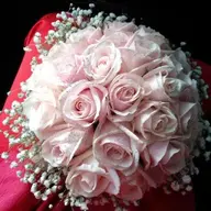 Hoanglove