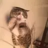 exorcism