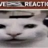 deptrainhatthegioi