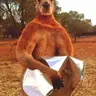 Kangaroo Gym