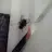 phucdoan1