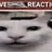 deptrainhatthegioi