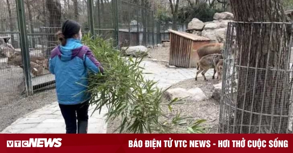 vtcnews.vn