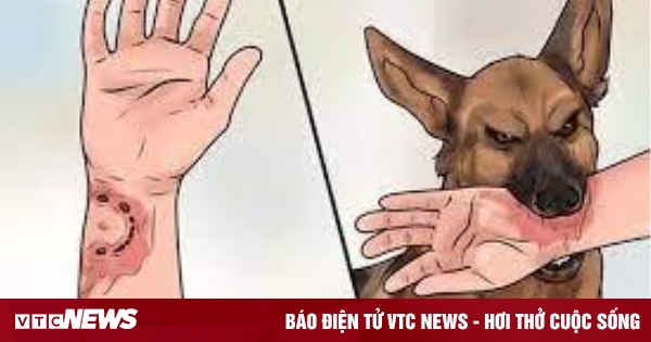 vtc.vn